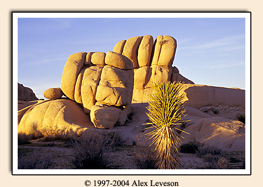 desert rocks