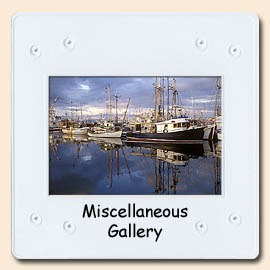 miscellaneous gallery