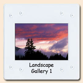 landscape gallery 1