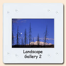 landscape gallery 2